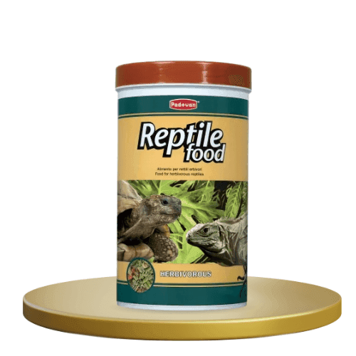 Reptile Food