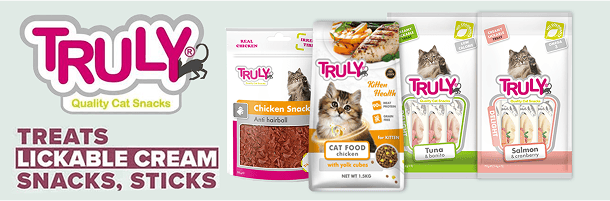 Eaque eius natus dol